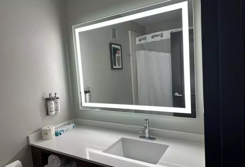 اتاق استاندارد با 2 تخت دوبل, Holiday Inn Roanoke   Tanglewood Route 419 & I 581, An Ihg