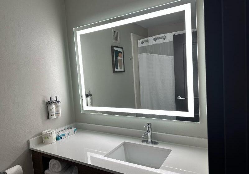 غرفة قياسية سرير كينج, Holiday Inn Roanoke   Tanglewood Route 419 & I 581, An Ihg