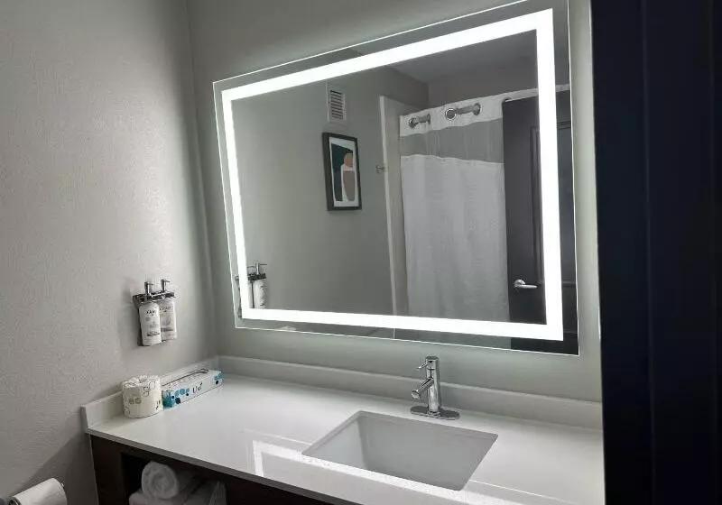 اتاق استاندارد با تخت بزرگ, Holiday Inn Roanoke   Tanglewood Route 419 & I 581, An Ihg
