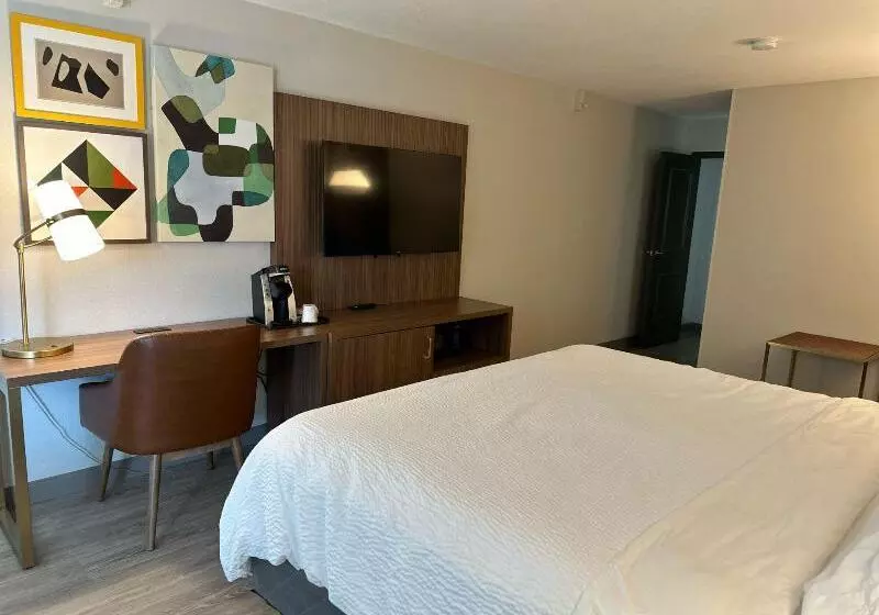 اتاق استاندارد با تخت بزرگ برای معلولان, Holiday Inn Roanoke   Tanglewood Route 419 & I 581, An Ihg