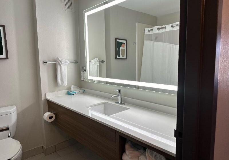 غرفة قياسية سرير كينج, Holiday Inn Roanoke   Tanglewood Route 419 & I 581, An Ihg