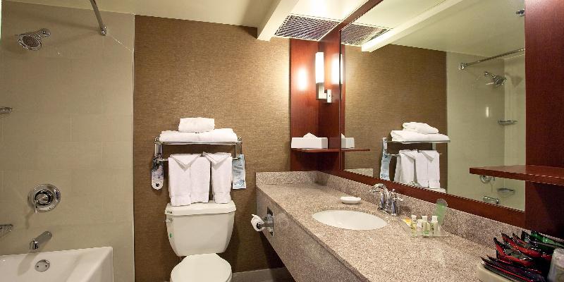 غرفة قياسية سرير كينج, Holiday Inn Los Angeles Gateway Torrance, An Ihg