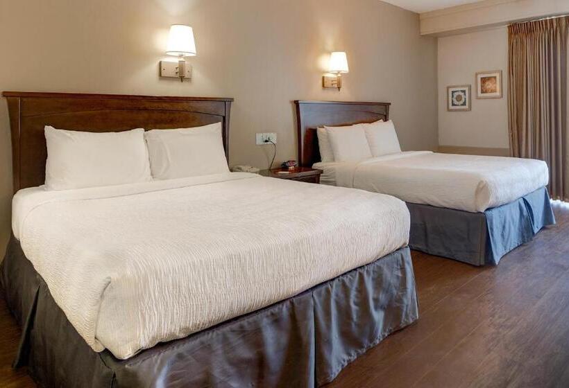 스탠다드 룸, Howard Johnson By Wyndham Amherst Hadley