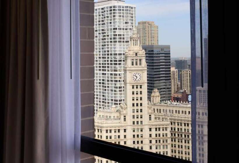 اتاق استاندارد با تخت دوبل برای معلولان, Hyatt Regency Chicago