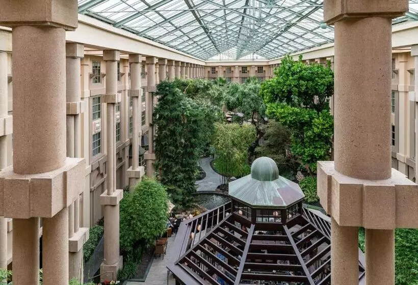 シングルデラックスルーム, Hyatt Regency Greenwich