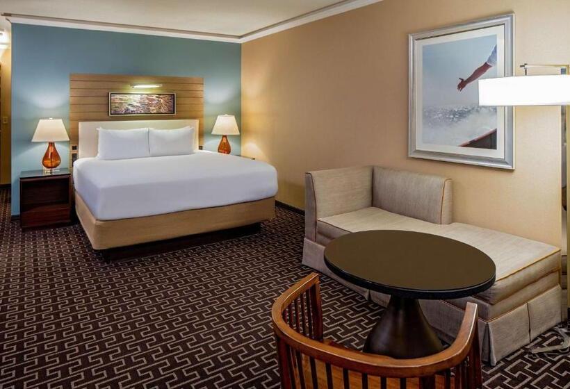 غرفة قياسية سرير كينج, Hyatt Regency Greenwich