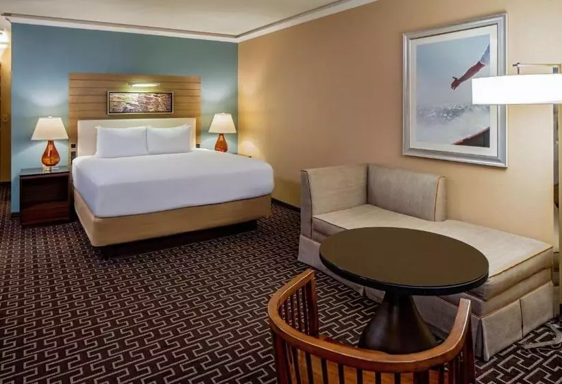 キングサイズベッドのスタンダードルーム, Hyatt Regency Greenwich