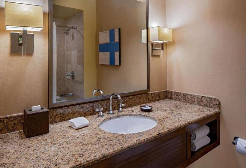 Стандартный Номер Кровать Кинг, Hyatt Regency Greenwich