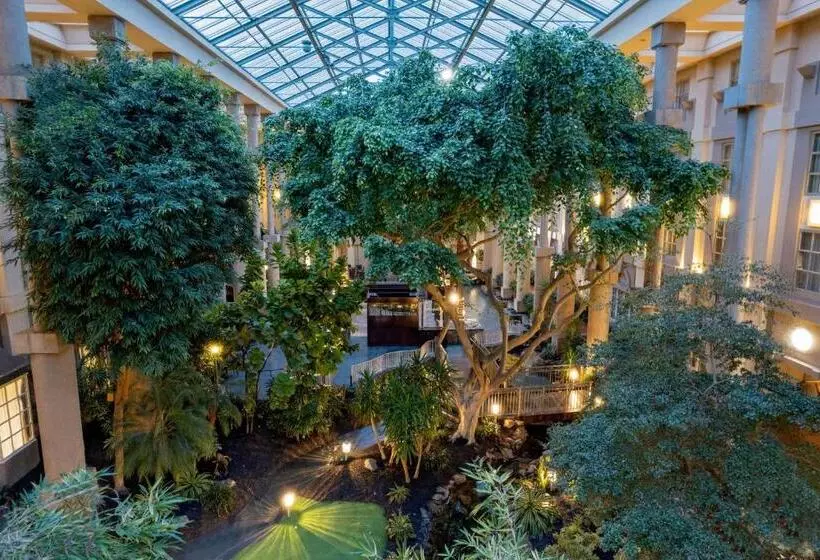 キングサイズベッドのスタンダードルーム, Hyatt Regency Greenwich
