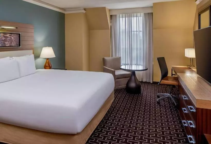 身障者適用キングサイズベッドルーム, Hyatt Regency Greenwich