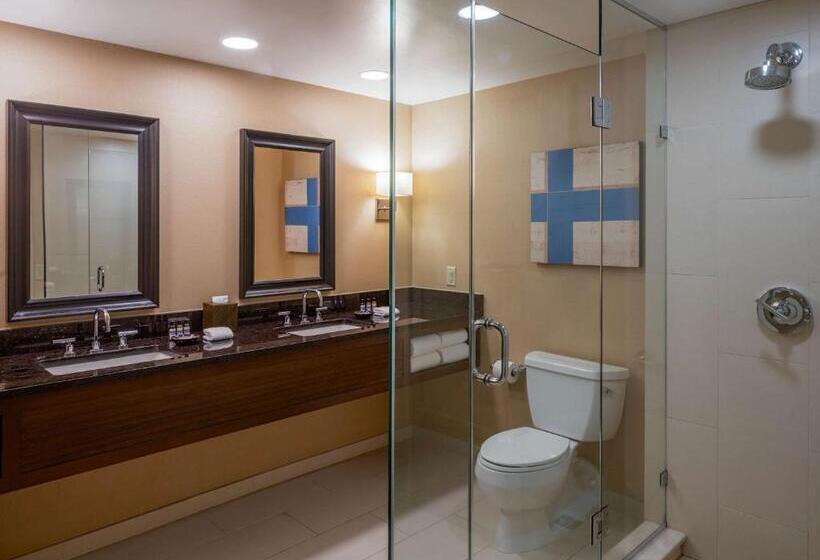 جناح, Hyatt Regency Greenwich