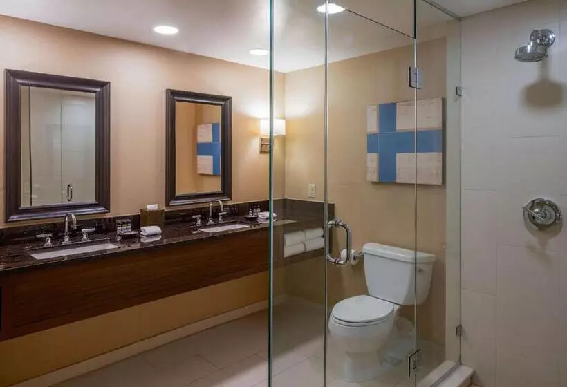 スイート, Hyatt Regency Greenwich