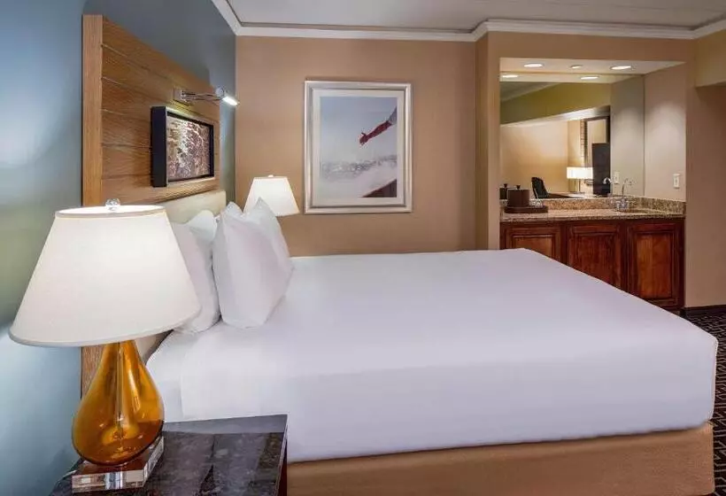 キングサイズベッドのデラックスルーム, Hyatt Regency Greenwich