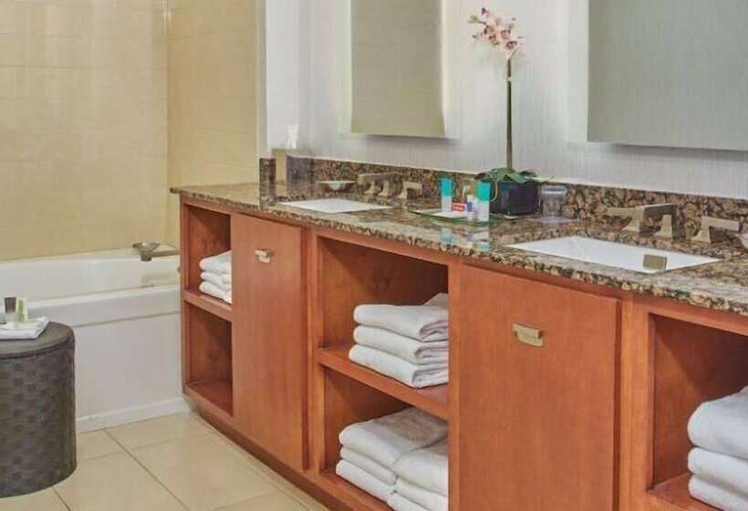 סוויטה דלוקס, Hyatt Regency Lexington