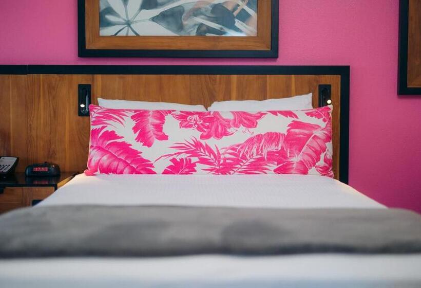 חדר סטודיו סטנדרד, Ilima