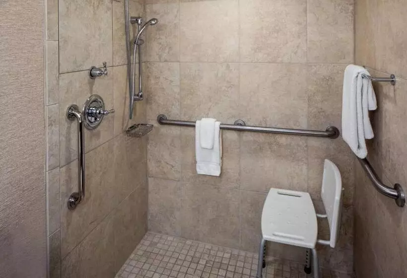 اتاق استاندارد با تخت بزرگ, Indianapolis Marriott East