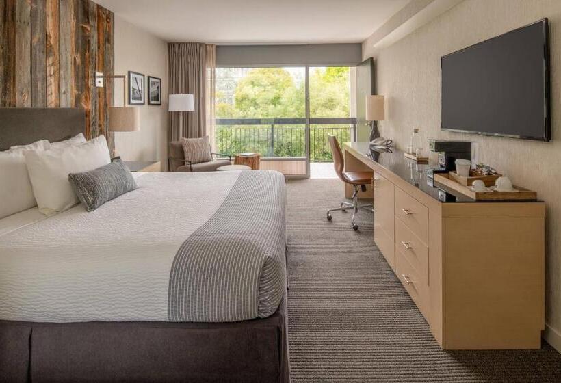 חדר סטנדרט עם מיטת קינג, Paradox, Autograph Collection