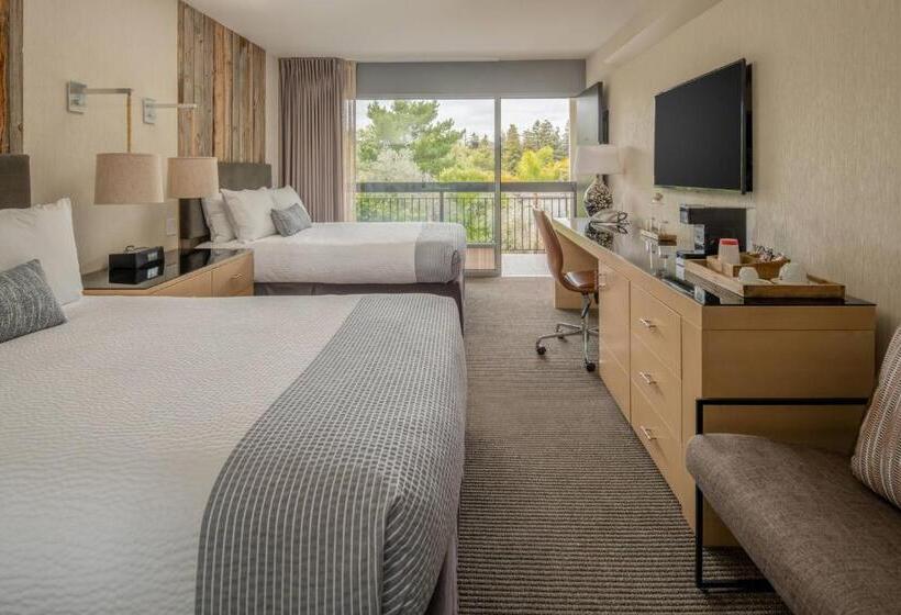 חדר סטנדרט עם מיטת קווין, Paradox, Autograph Collection