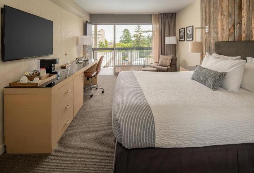 חדר סטנדרט עם מיטת קינג, Paradox, Autograph Collection