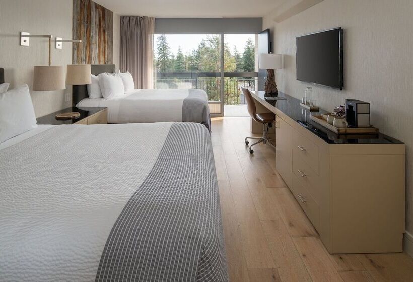 חדר סטנדרט עם מיטת קווין, Paradox, Autograph Collection