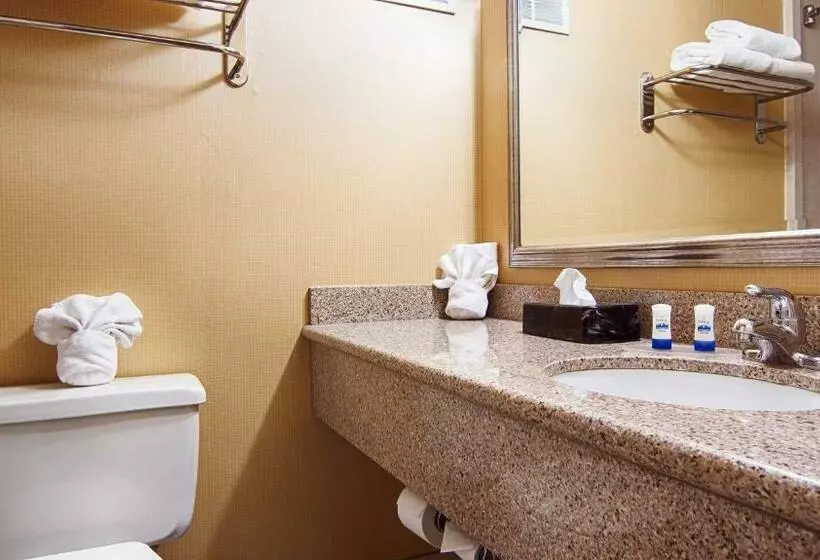 キングサイズベッドのスタンダードルーム, Quality Inn & Suites East Syracuse  Carrier Circle