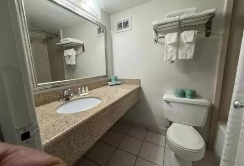 スタンダード４人部屋, Quality Inn & Suites East Syracuse  Carrier Circle