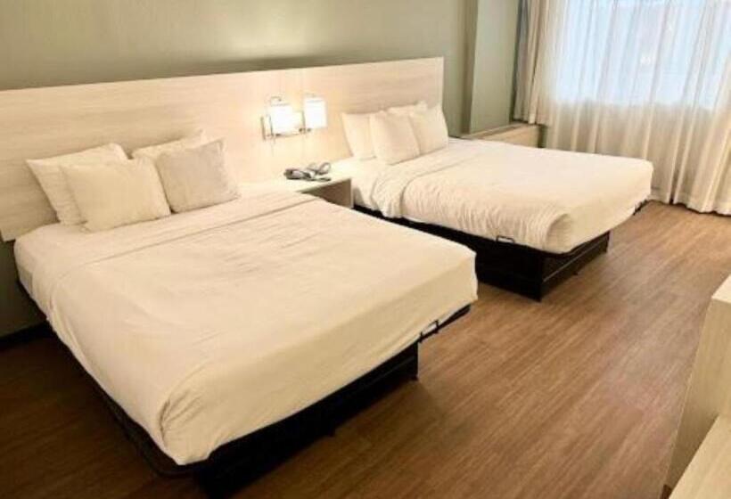 スタンダードルーム, Quality Inn & Suites East Syracuse  Carrier Circle