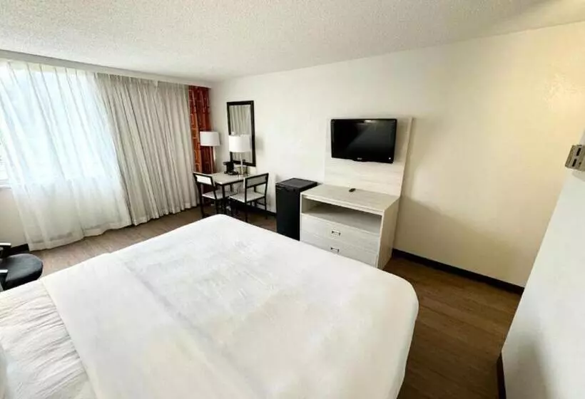 身障者適用キングサイズベッドルーム, Quality Inn & Suites East Syracuse  Carrier Circle