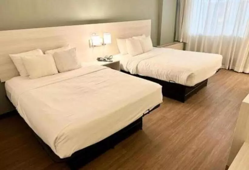 身障者適用スタンダードルーム, Quality Inn & Suites East Syracuse  Carrier Circle