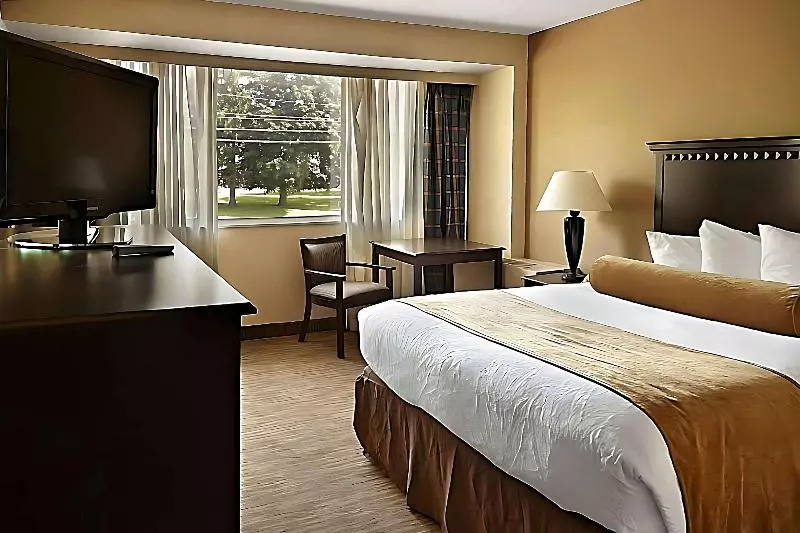 キングサイズベッドのスタンダードルーム, Quality Inn & Suites East Syracuse  Carrier Circle