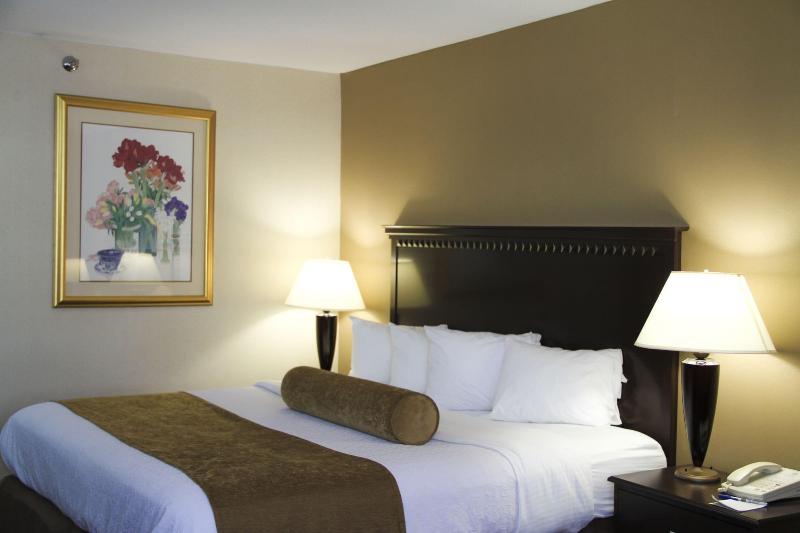 适合残疾人士使用的带超级大床的标准间, Quality Inn & Suites East Syracuse Carrier Circle