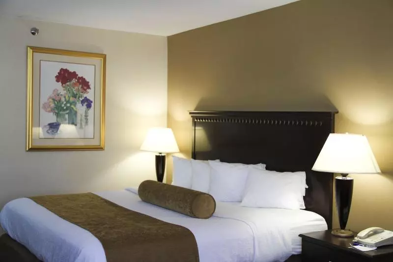 身障者適用キングサイズベッドルーム, Quality Inn & Suites East Syracuse  Carrier Circle