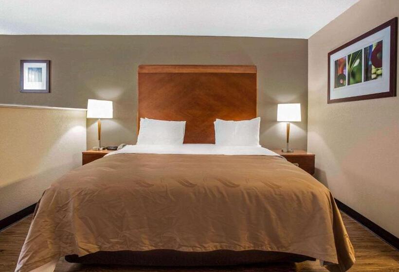 带大床的标准间, Quality Inn & Suites University Area