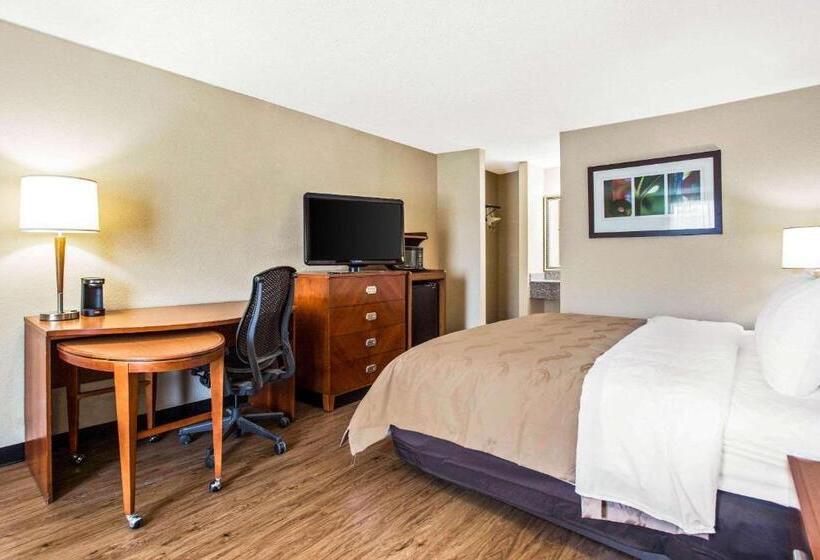 带大床的标准间, Quality Inn & Suites University Area