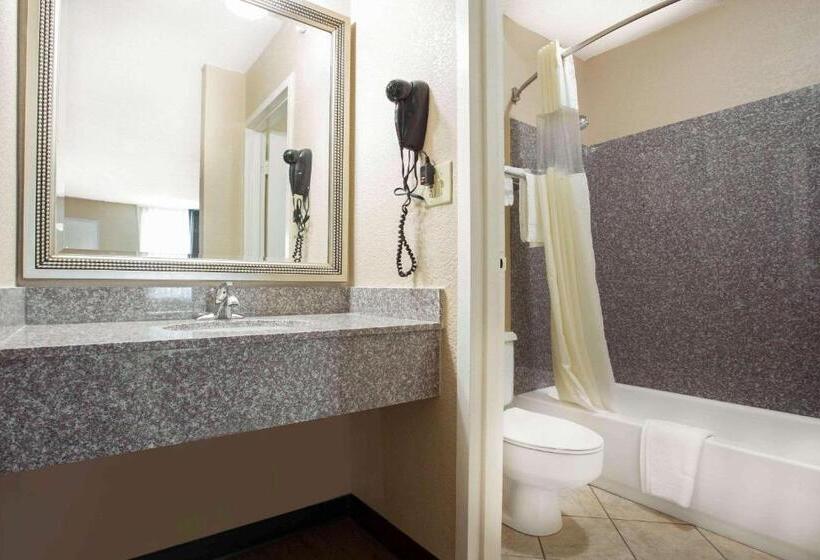 带大床的标准间, Quality Inn & Suites University Area