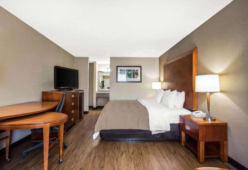 适合残疾人士使用的带超级大床的标准间, Quality Inn & Suites University Area