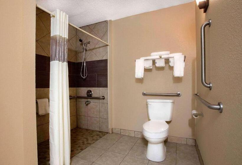 适合残疾人士使用的带超级大床的标准间, Quality Inn & Suites University Area