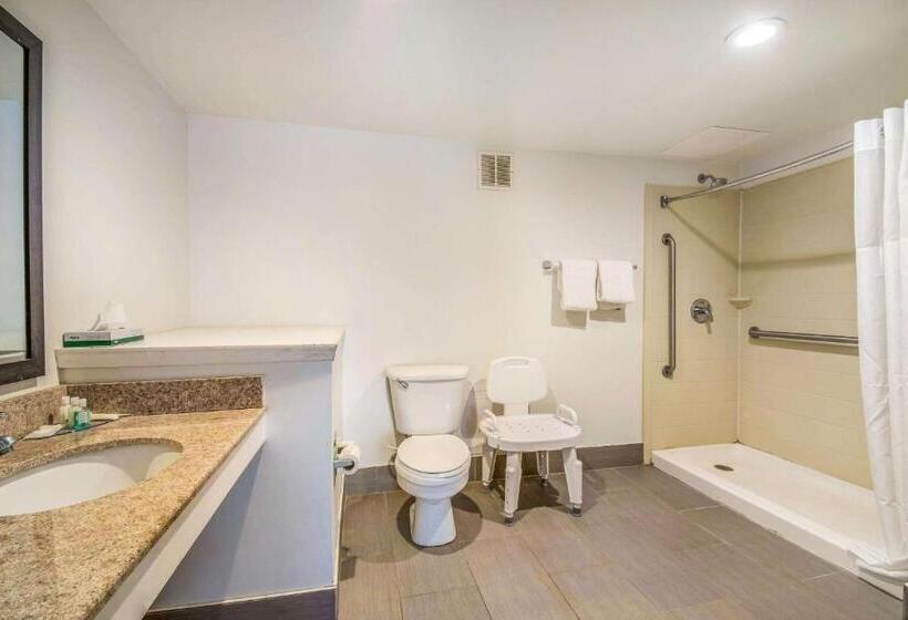 适合残疾人士使用的带超级大床的标准间, Quality Inn & Suites