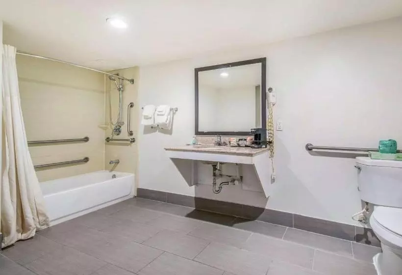 Standard-invahuone King-vuode, Quality Inn & Suites York East