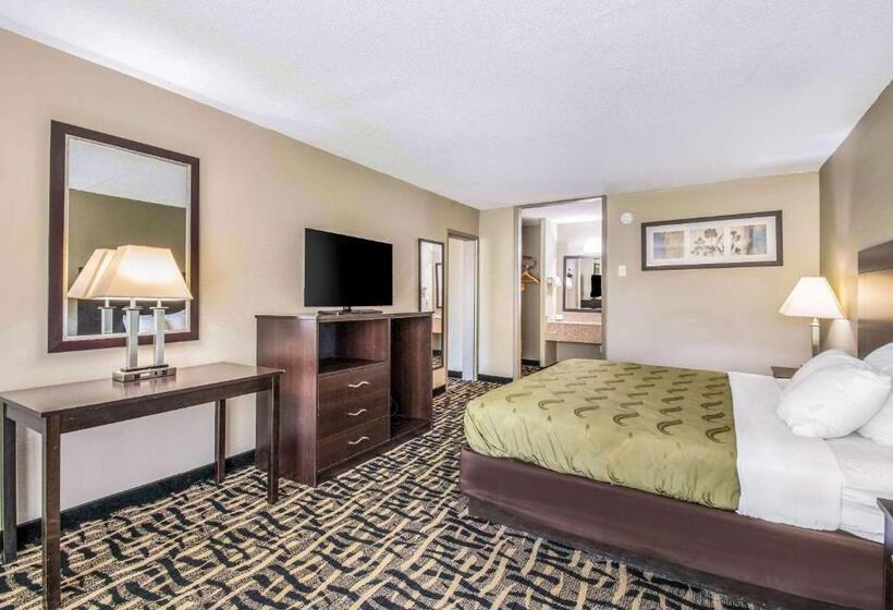 带大床的套房, Quality Inn & Suites