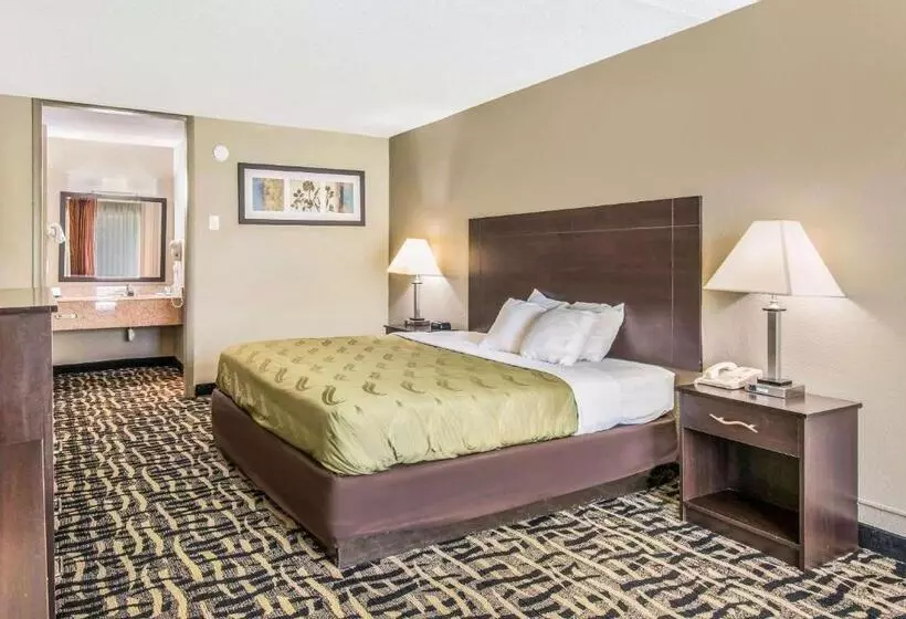 Sviitti King-vuode, Quality Inn & Suites York East