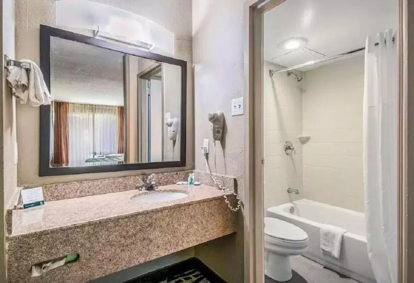Sviitti King-vuode, Quality Inn & Suites York East