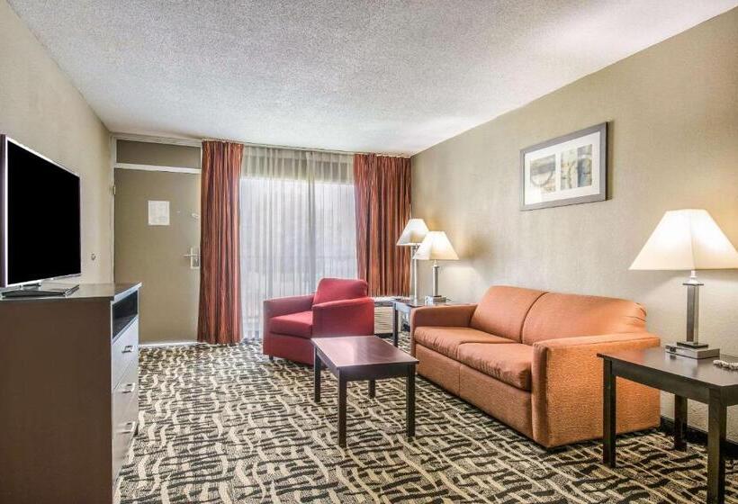 带大床的套房, Quality Inn & Suites