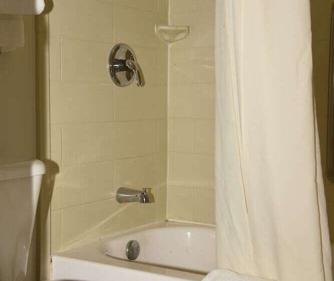 Номер Стандарт 2 Двуспальные Кровати, Quality Inn & Suites