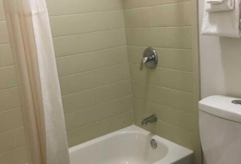 Номер Стандарт 2 Двуспальные Кровати, Quality Inn & Suites