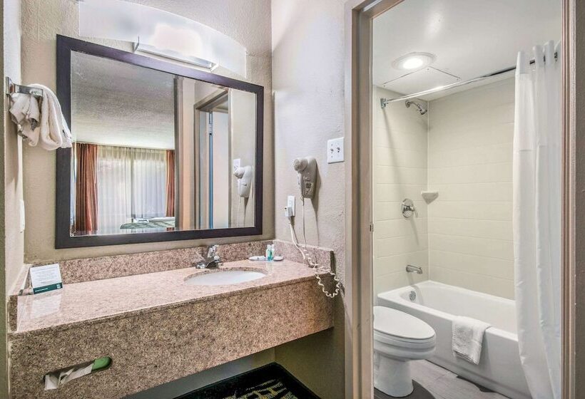 Номер Стандарт 2 Двуспальные Кровати, Quality Inn & Suites