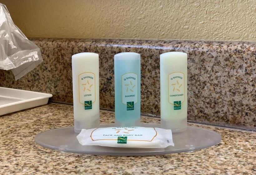 适合残疾人士使用的带超级大床的标准间, Quality Inn Ukiah