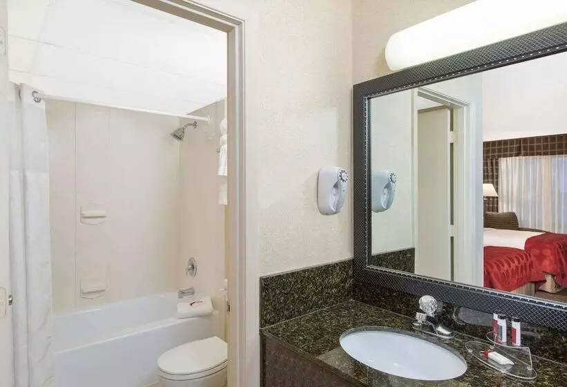 اتاق استاندارد با 2 تخت دوبل, Ramada By Wyndham Midtown Grand Island