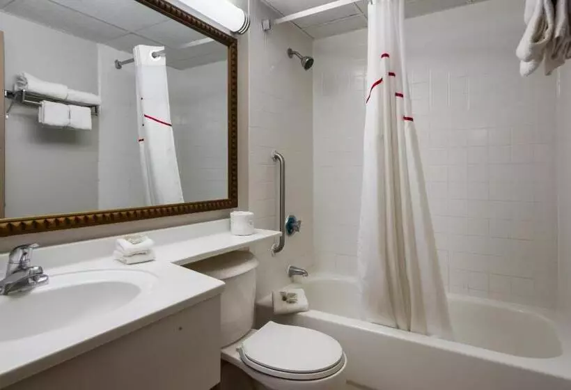 キングサイズベッドのスイートルーム, Red Roof Inn And Suites Newark   University