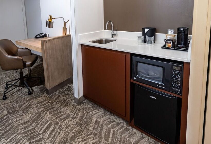 Люкс, Springhill Suites Houston Medical Center / Nrg Park